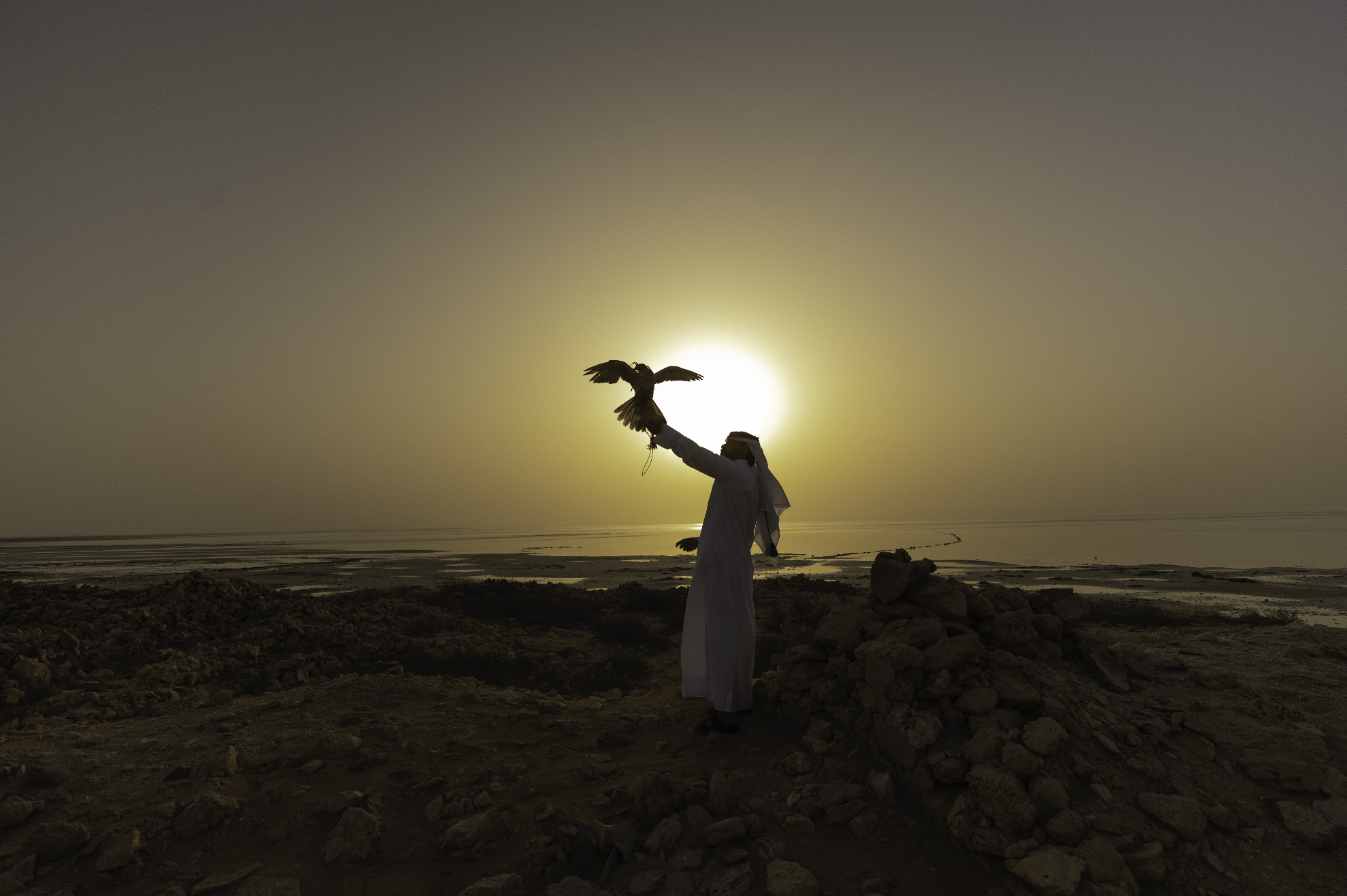 A person stands on a rocky beach. Their left arm is raised in front of them, and a falcon perches – with its wings spread – on their hand. The sun is setting directly behind the person and their falcon. A calm sea is visible in the background.