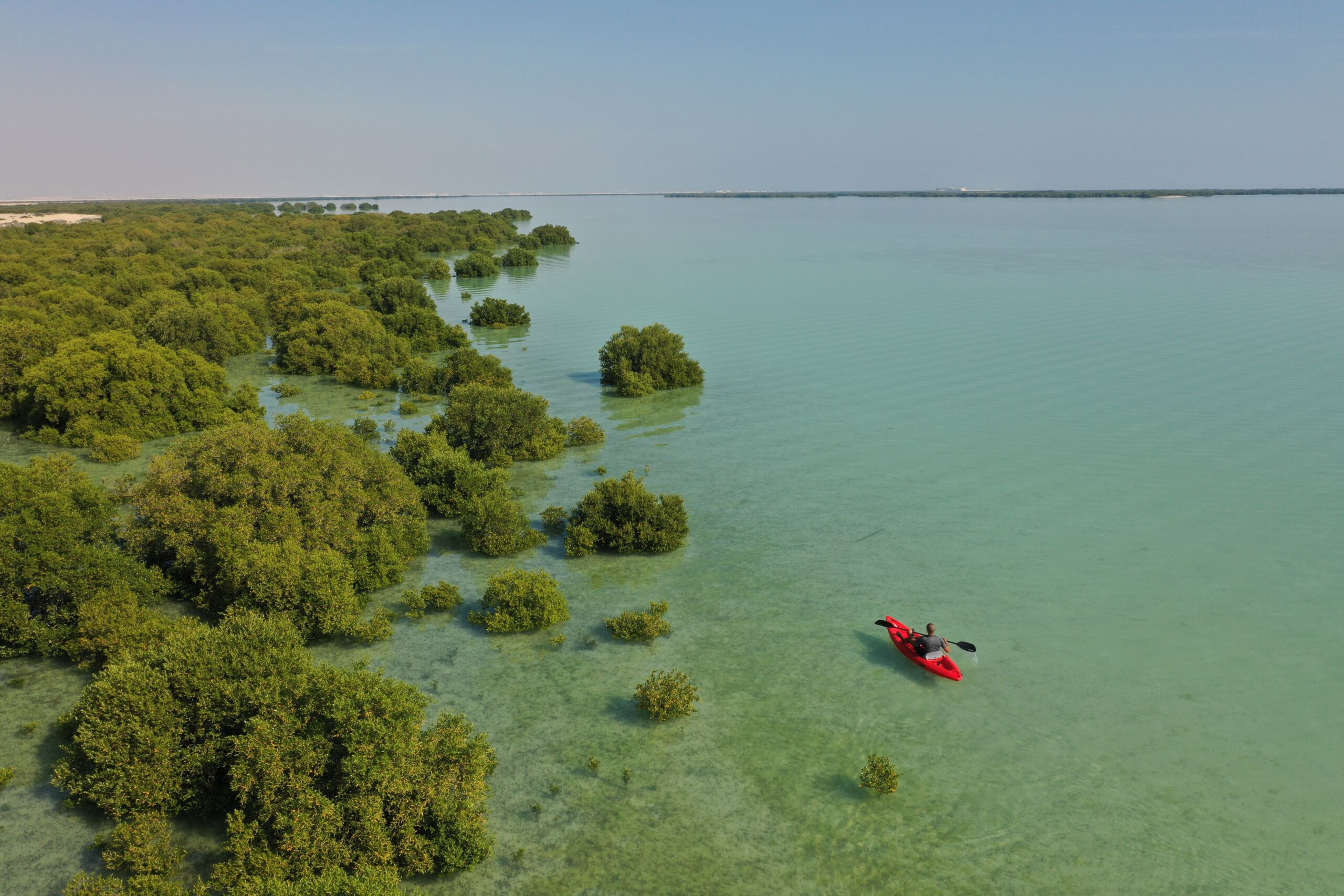An aerial view of a person navigating a kayak across clear waters. To their left, leafy shrubs grow directly out of the water. The water and the shrubs stretch to the horizon. It's day time.